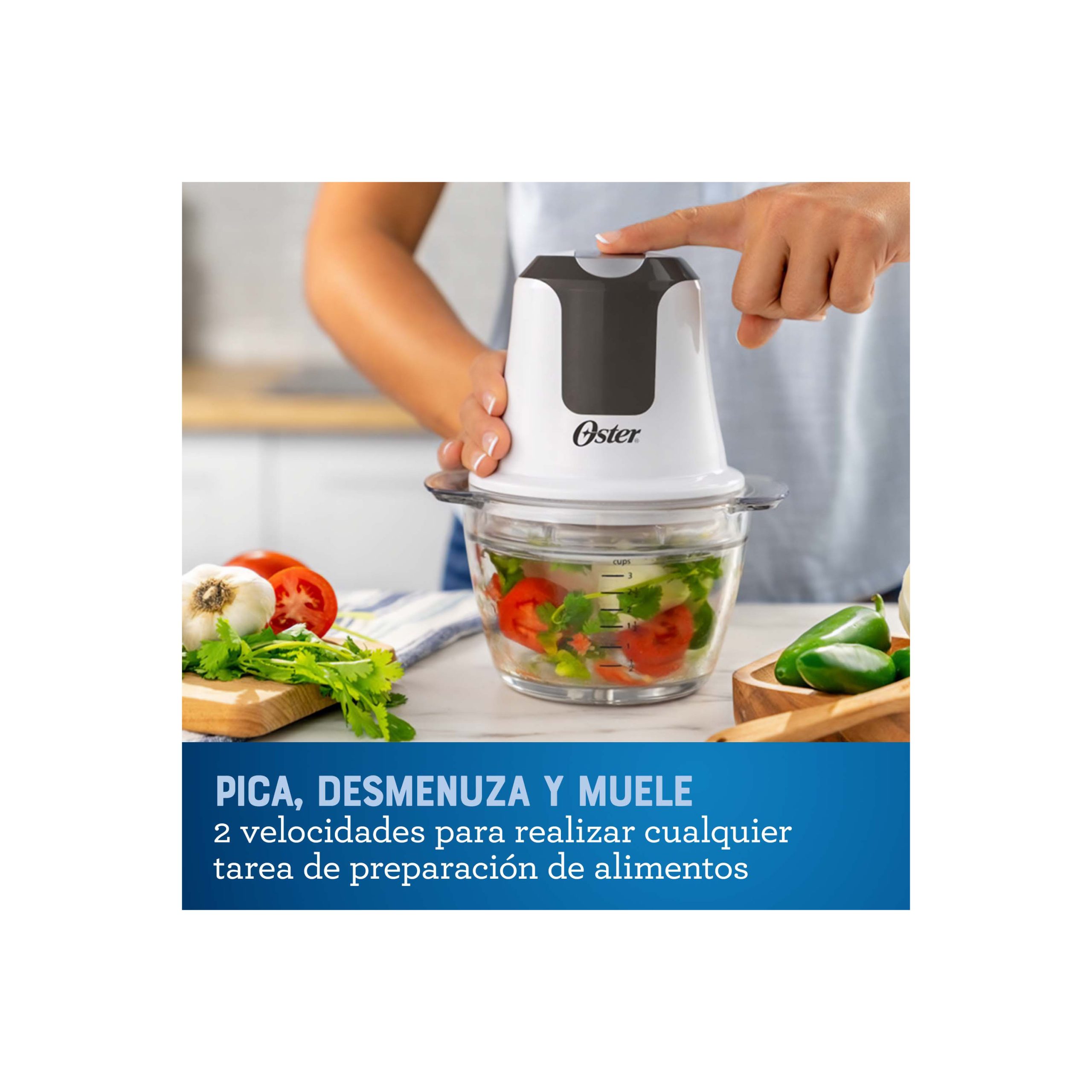 Picadora Oster 250W 2 Vel FPSTFP3340 - Imagen 3